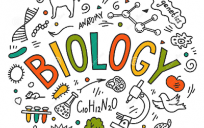 Biology -Individual- Grade 12 -Online